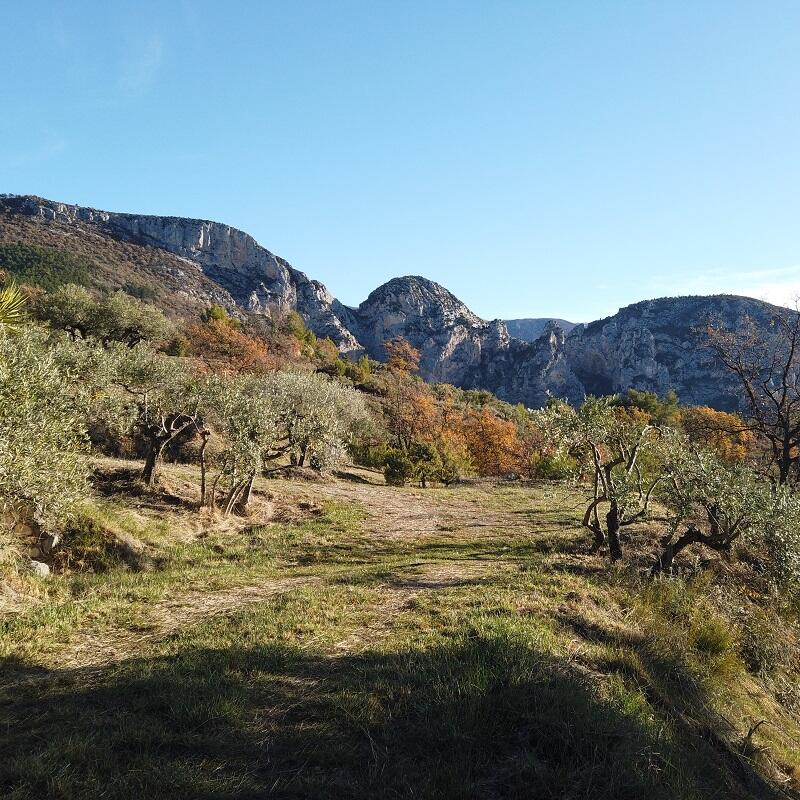 Le Castillon Par Les Baumes Moustiers Sainte Marie Provence Alpes