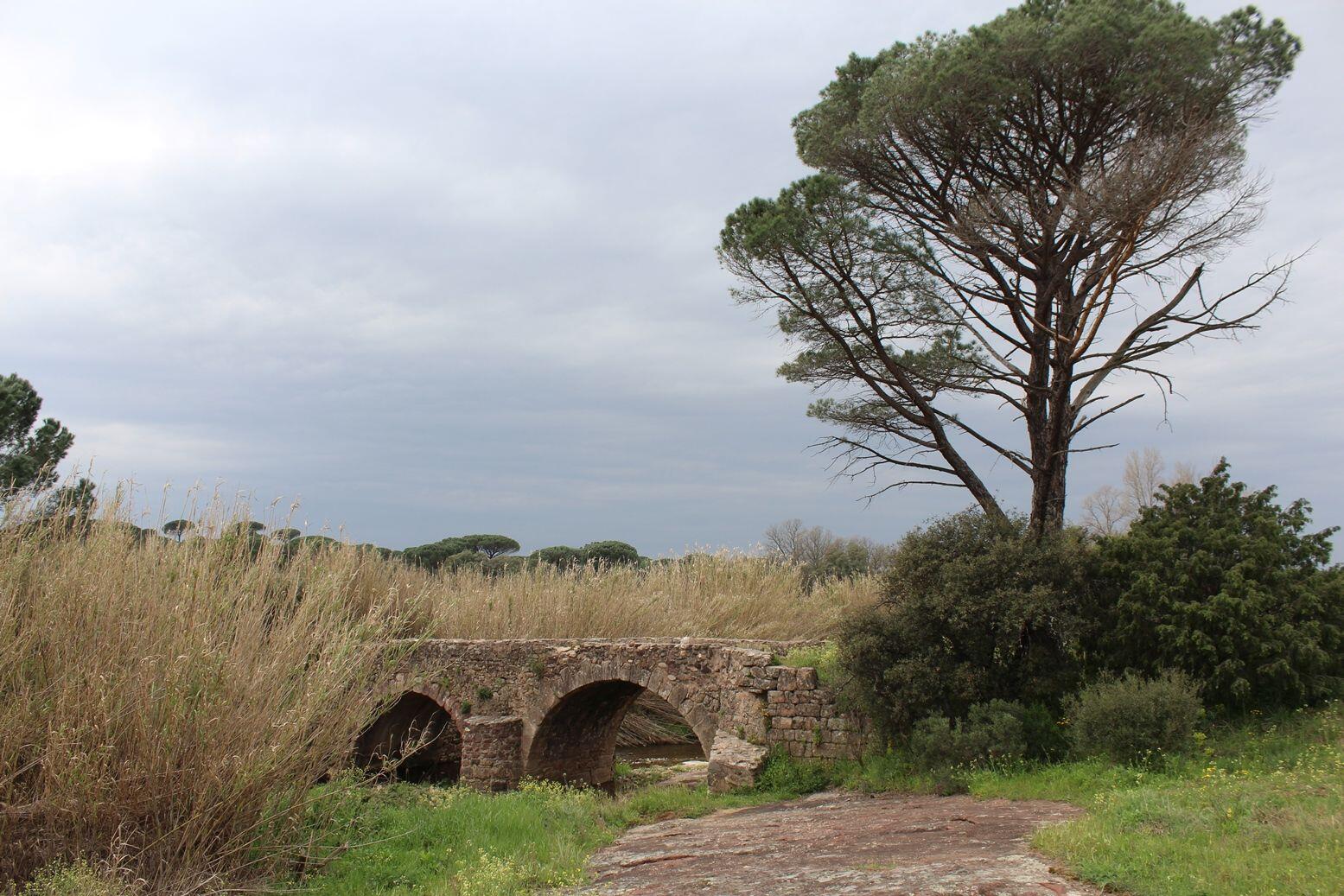 Le Pont Romain Rando La Garde Freinet Provence Alpes C Te D