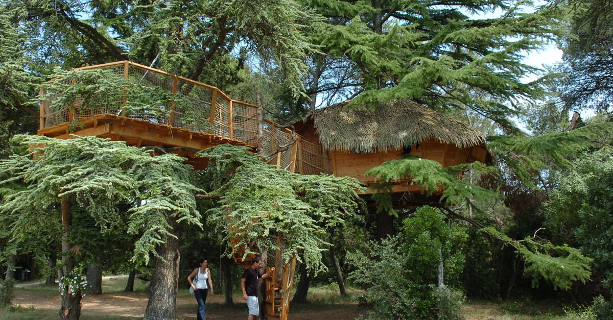 LES CABANES DE LARBOUSIER CABANE CRECERELLE Castries Montpellier