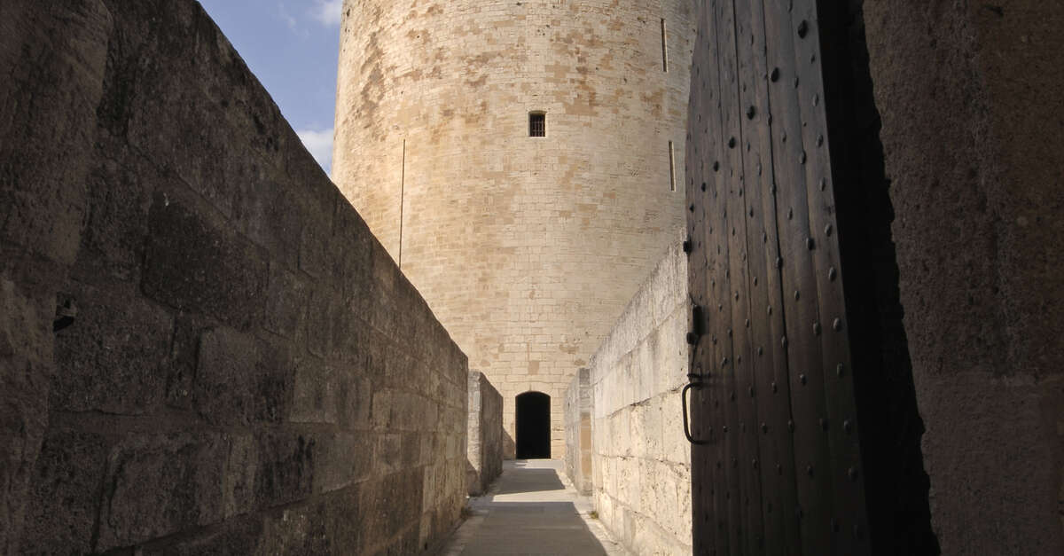 Tours Et Remparts Daigues Mortes Aigues Mortes Montpellier Turismo