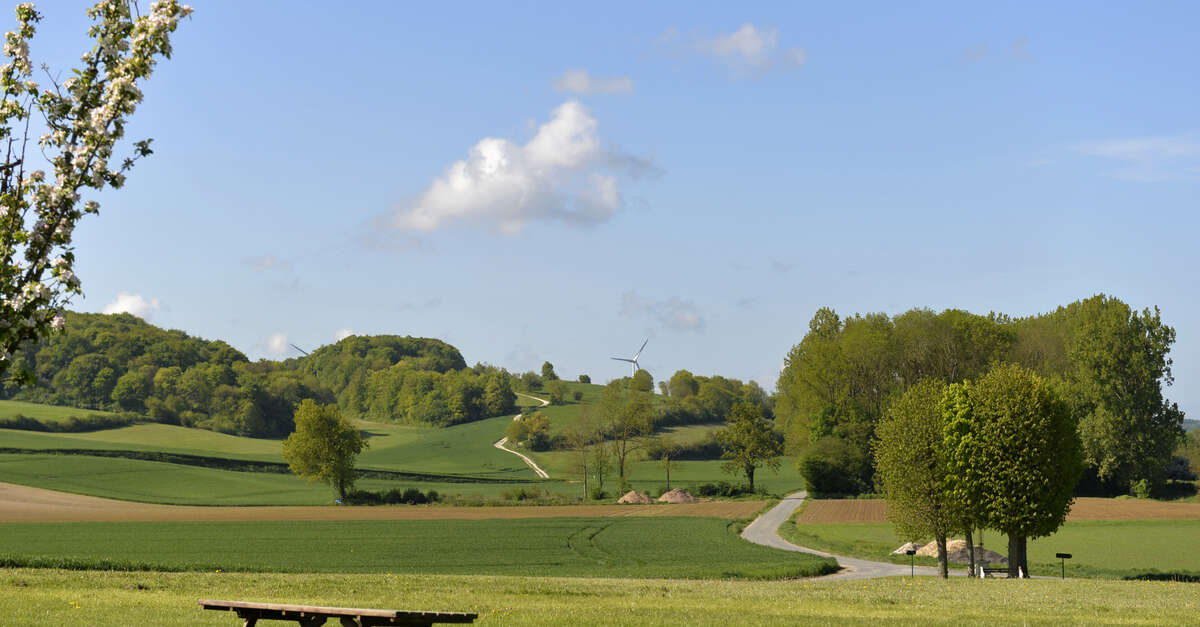 Mus E Arch Ologique De Loise Vendeuil Caply Site Officiel Hauts De