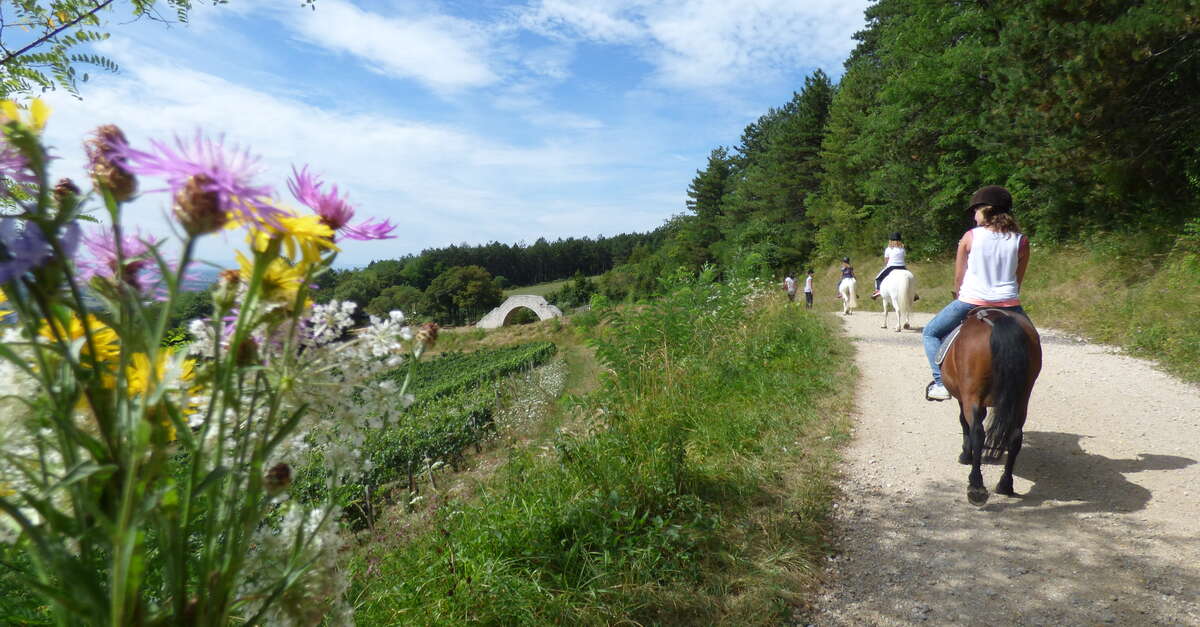 Equestrian route Ceyzériat Villeneuve les Charnoz Jura Ceyzériat