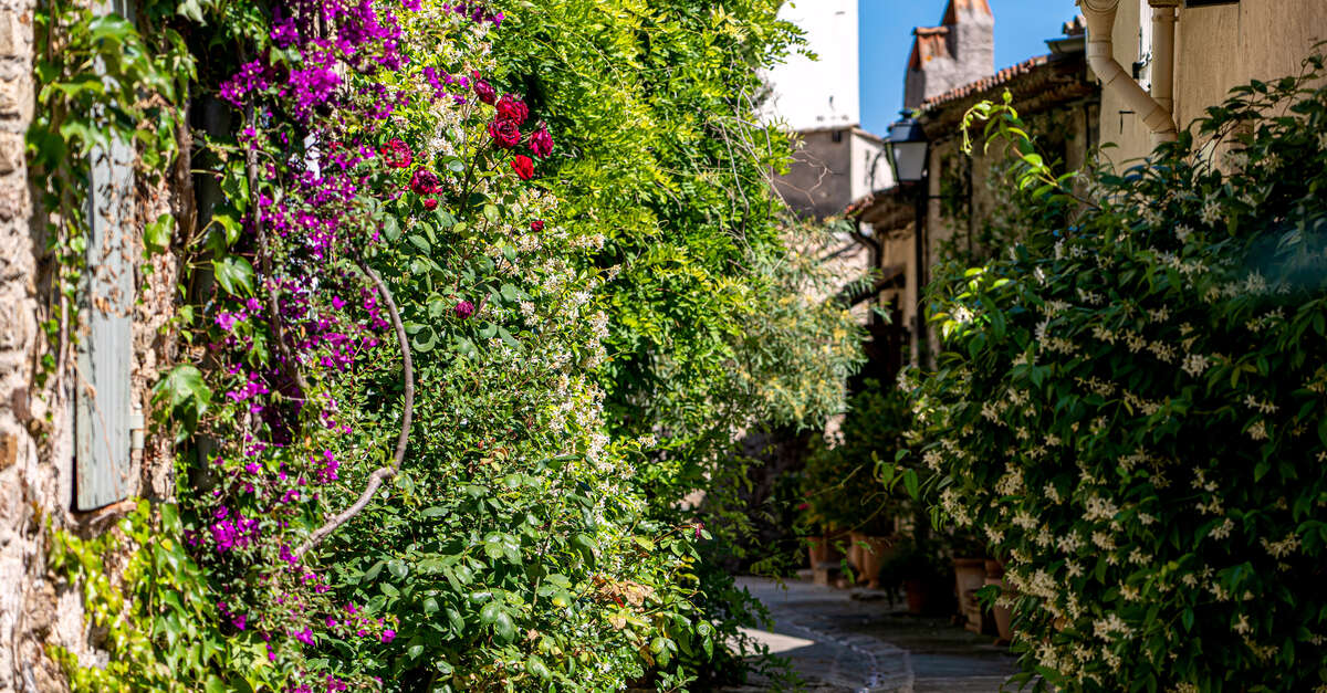 Circuit Historique De Grimaud Grimaud Grimaud Tourisme Le Charme