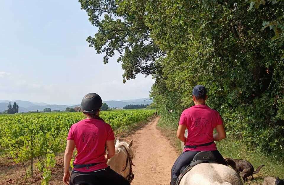 Balade Cheval Dans Les Vignes Solli S Pont Provence Alpes C Te D