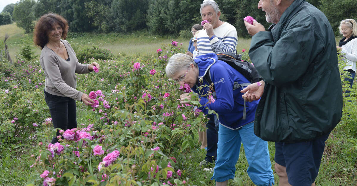 Visite Passion Des Jardins Des Hautes Terres Saint Michel De Chaillol