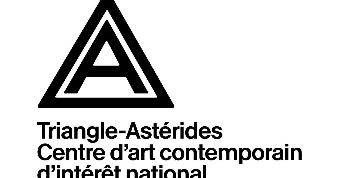 Triangle Astérides centre dart contemporain dintérêt national et