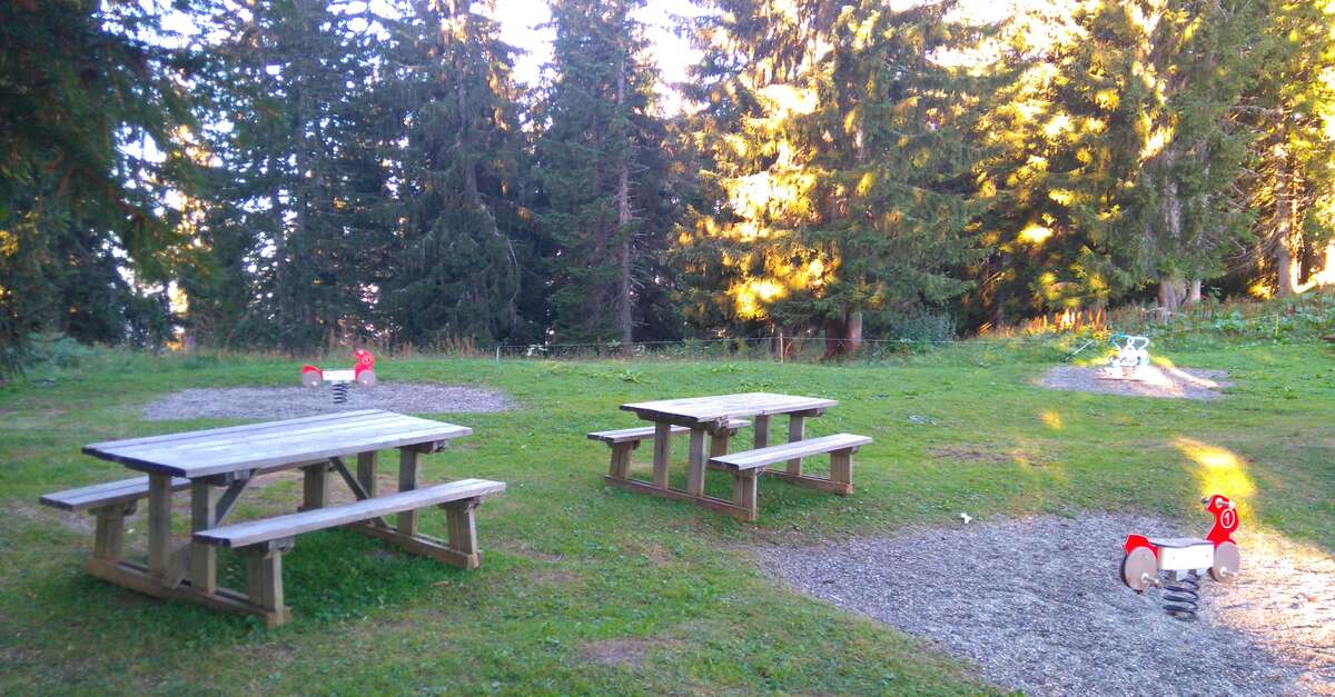 Aire de pique nique du Plan du Pré Les Saisies Bienvenue Les Saisies