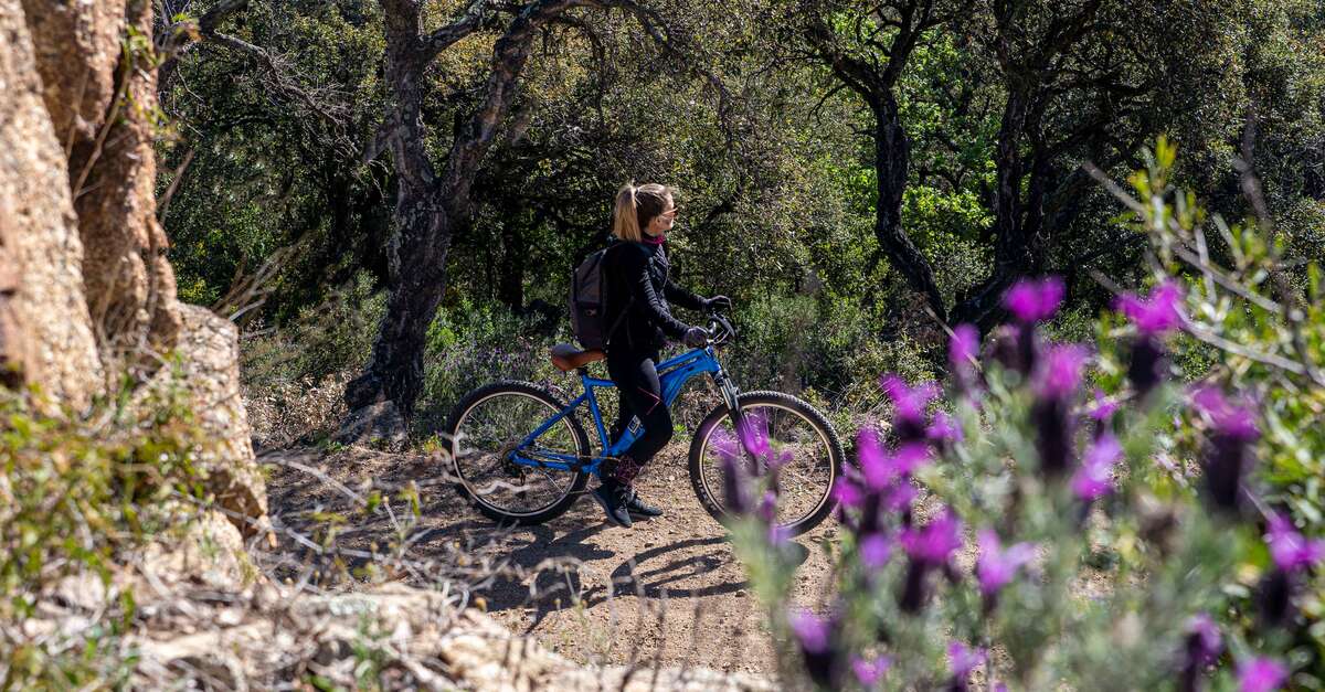 Wanderweg von Grimaud nach la Garde Freinet über les Vernades Grimaud