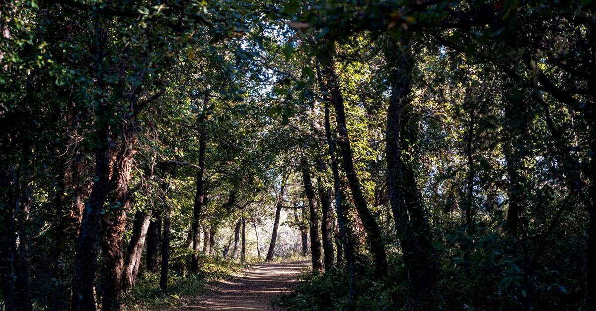 Sentier Le Pierredon Grimaud Grimaud Tourisme Le Charme De La