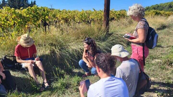 Balade D Couverte Des Plantes Sauvages Et M Dicinales La Tour Daigues