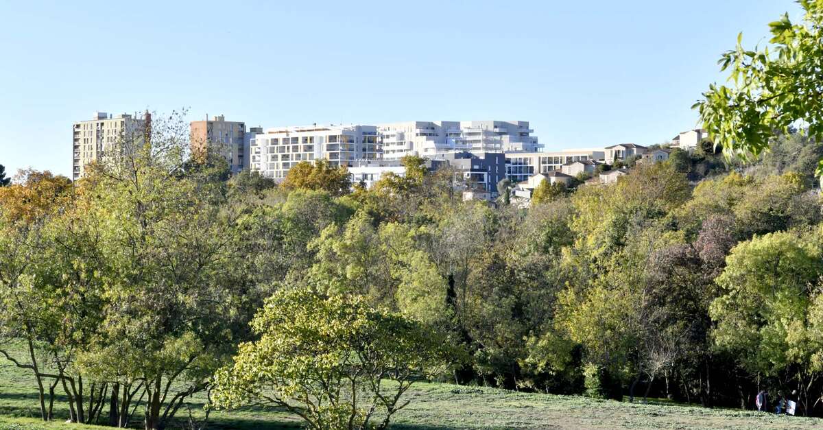 Parc De La Ravelle Marseille Me Office De Tourisme De Marseille