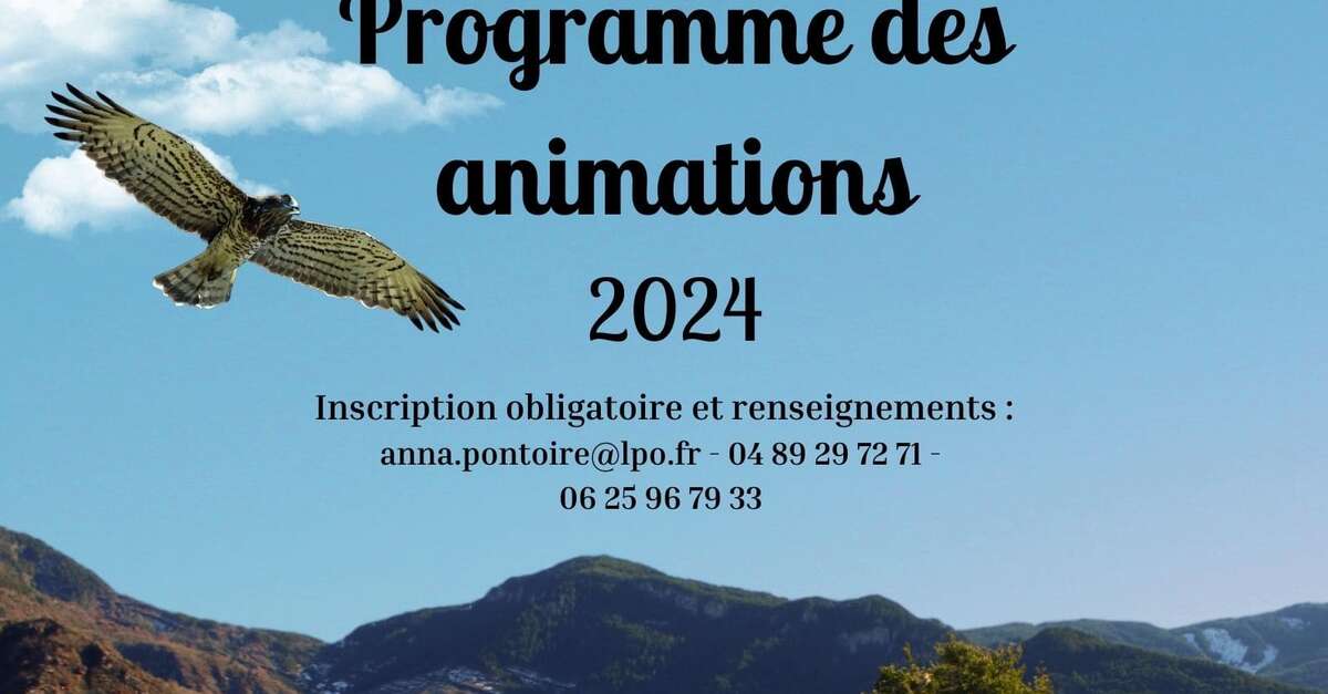 Programme Danimations R Serve Naturelle R Gionale Des Gorges De