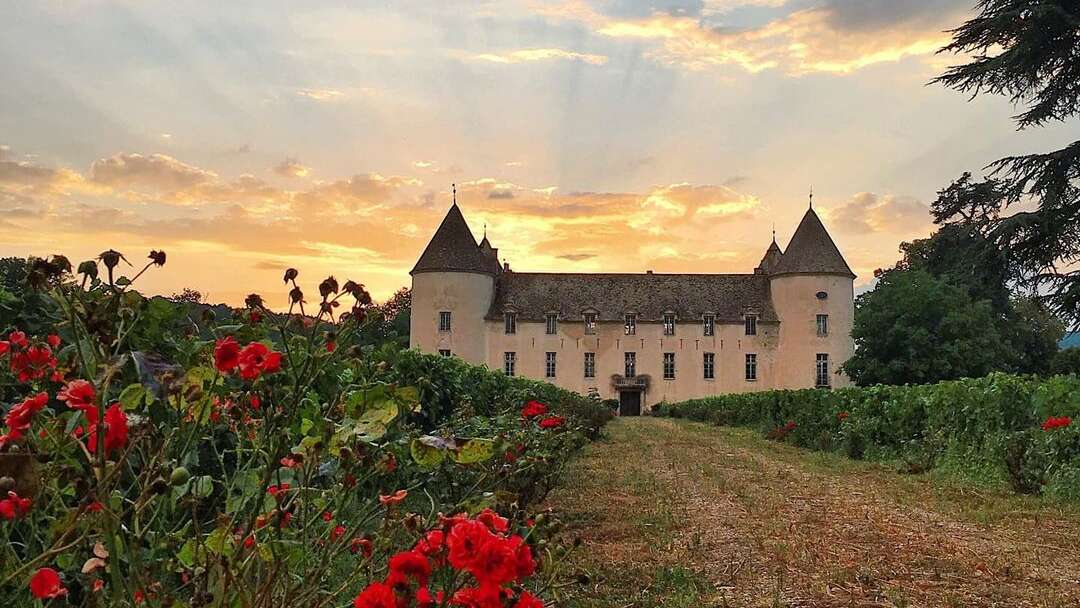 Château de Savigny Musée de la moto de laviation et de la voiture