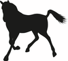 Gîtes et cheval