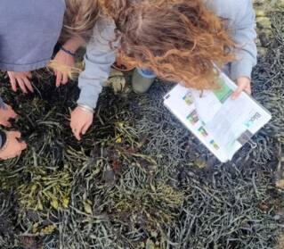 Illustration d'activité