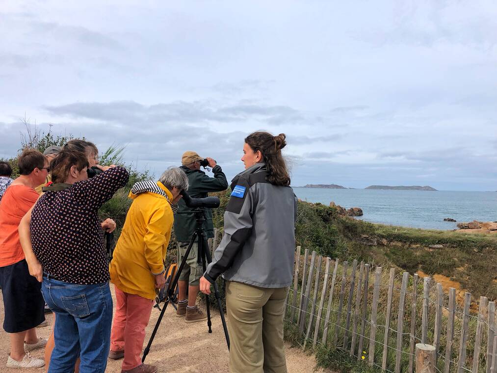 Illustration d'activité