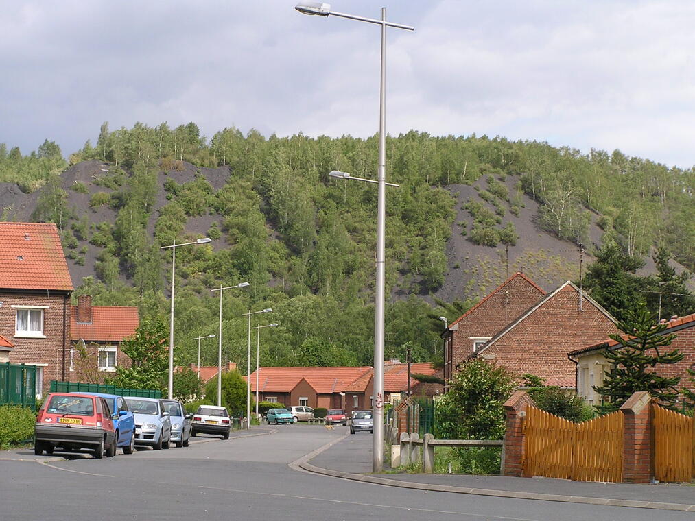 Roost Warendin - Belleforière - Douaisis - Nord- France (6).JPG