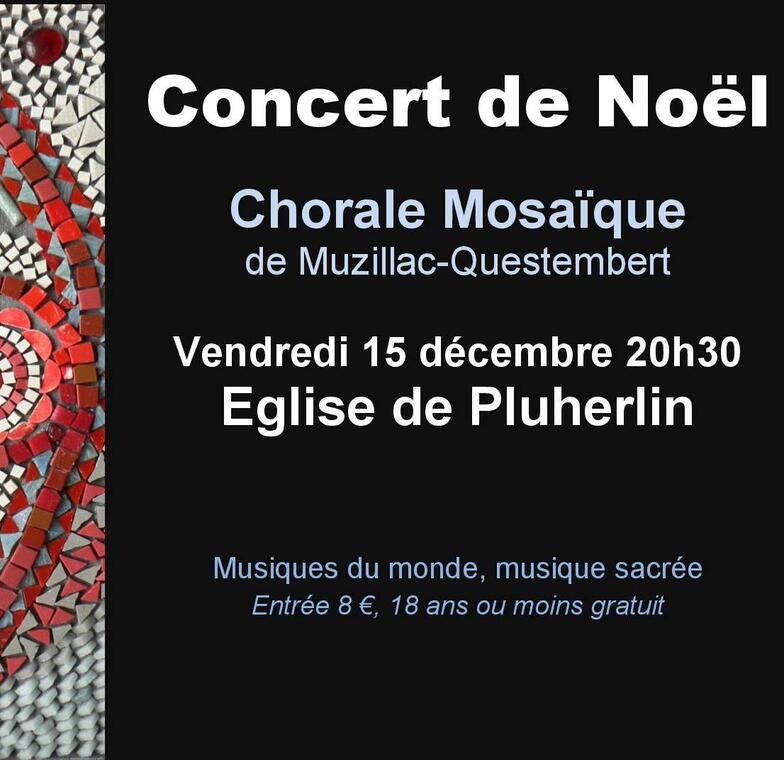 ConcertNoelPluherlin (1).jpg