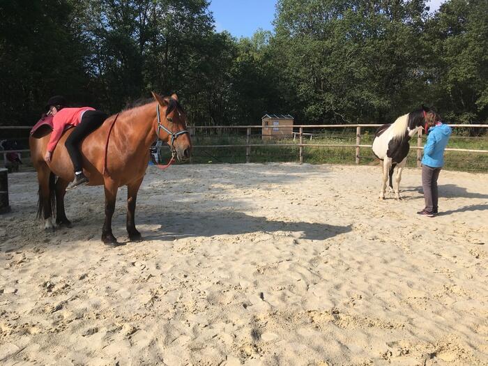 Atelier_a_la_rencontre_de_letre_Cheval_qui_es_tu_Ferme_equestre_naturelle_Les_Grillaults_La_Roche_Posay.jpg