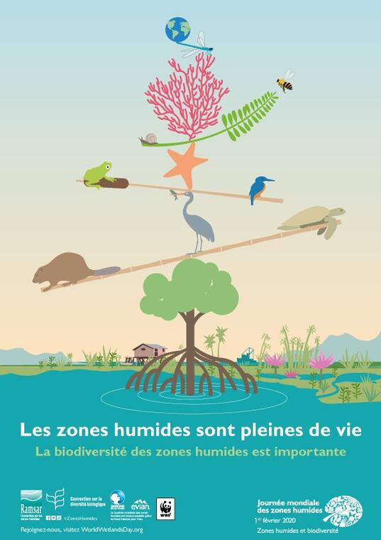 affiche journée mondiale des zones humides.jpg