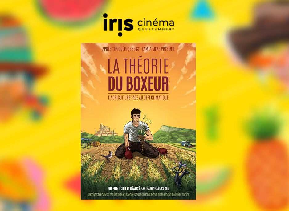 La theorie du boxeur - IRIS CINEMA.jpg