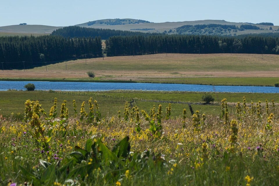 lac-salhiens©OT-Aubrac-Lozerien.jpg