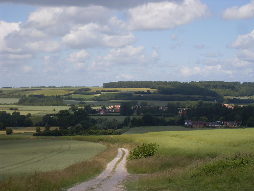 Paysage rural.jpg