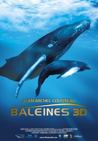 baleines en 3D.jpg