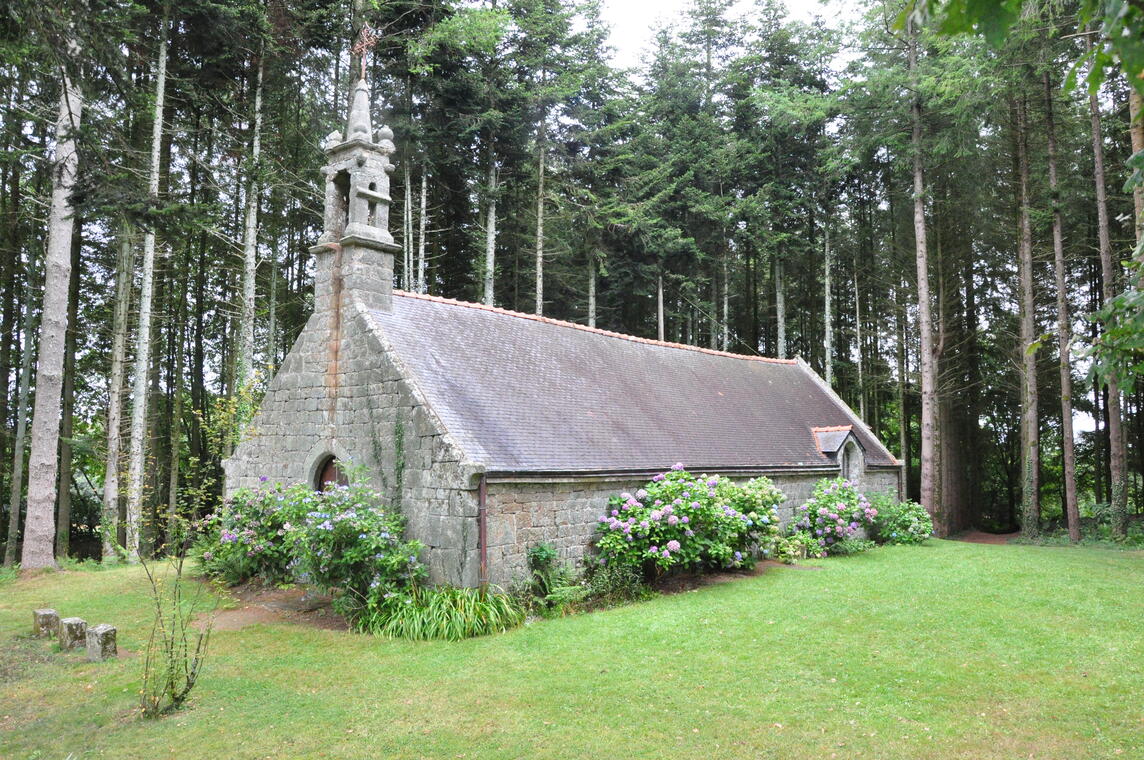 DSC_1381.JPG