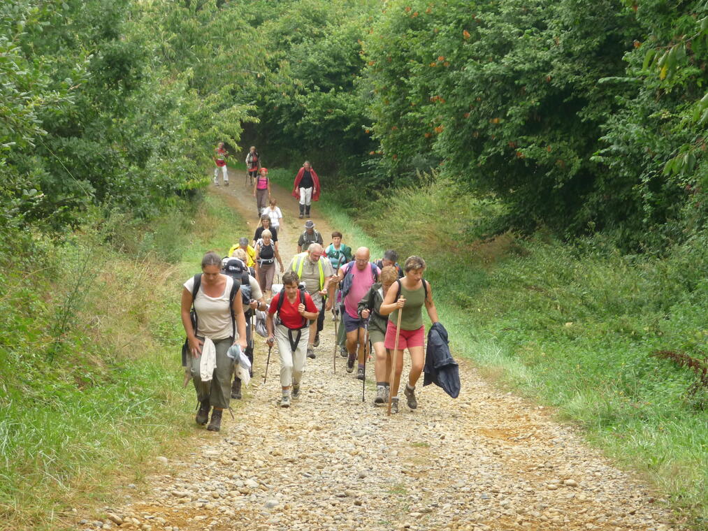 Randonnée accompagnée groupe adour madiran © OTPVA.JPG