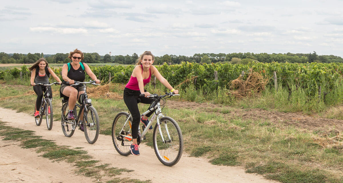 VELO_Chateaux-à-vélo_dans-les-vignes_Crédit-Patrice-Mollet.jpg