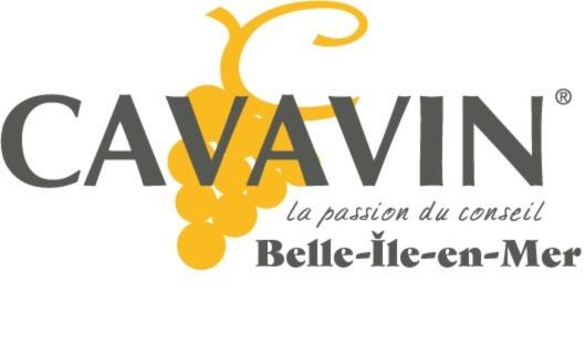 Commerces_Belle ile_Le Palais_Cavavin_LOGO CAVAVIN®GRIS VILLE GRISE.jpg