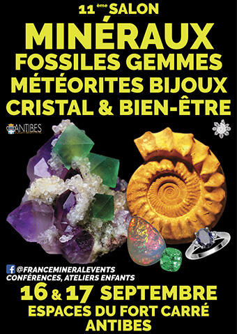 mineraux-fossiles.jpg