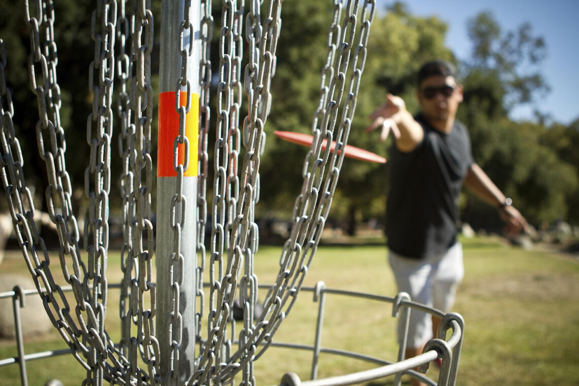 Disc_golf.jpg