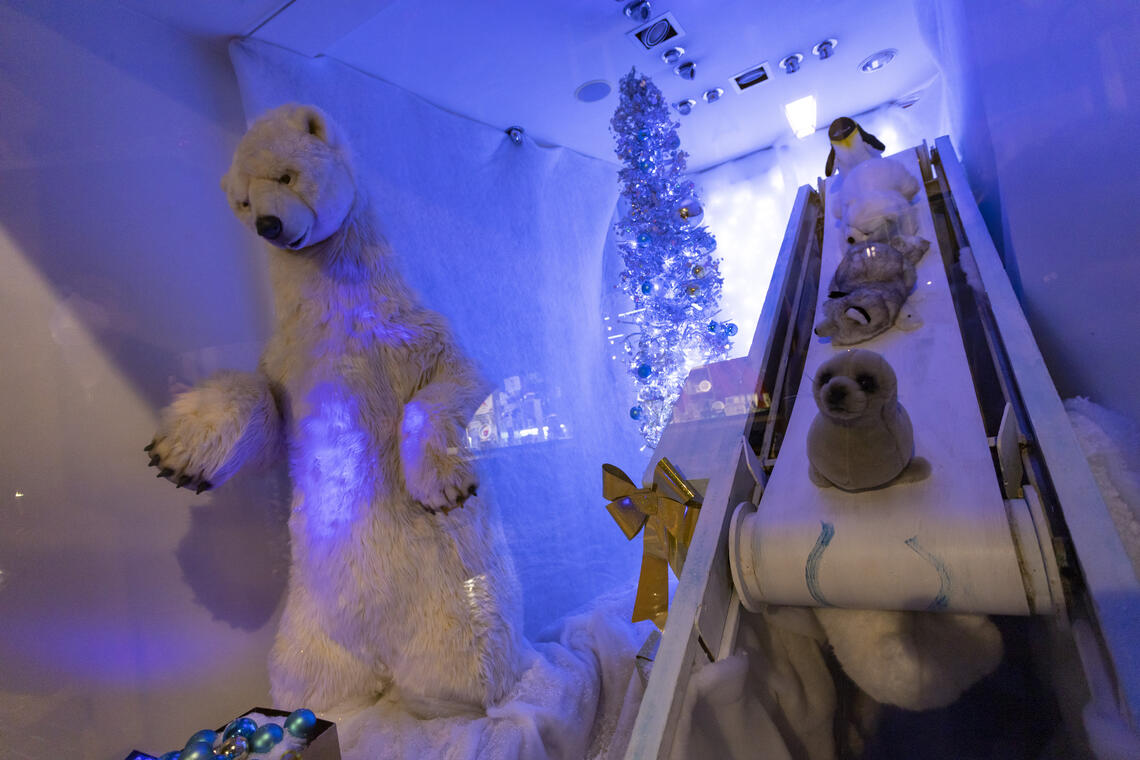ADL 20-11 magasins décorés 24.JPG