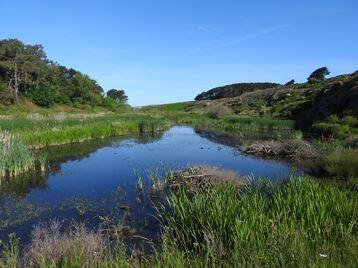 CPIE - sortie agriculture et eau - Locmaria.JPG