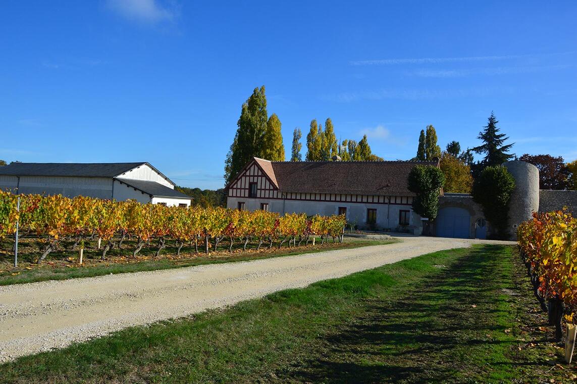 Domaine Le Portail - Cheverny | Office de Tourisme Blois Chambord - Val de  Loire