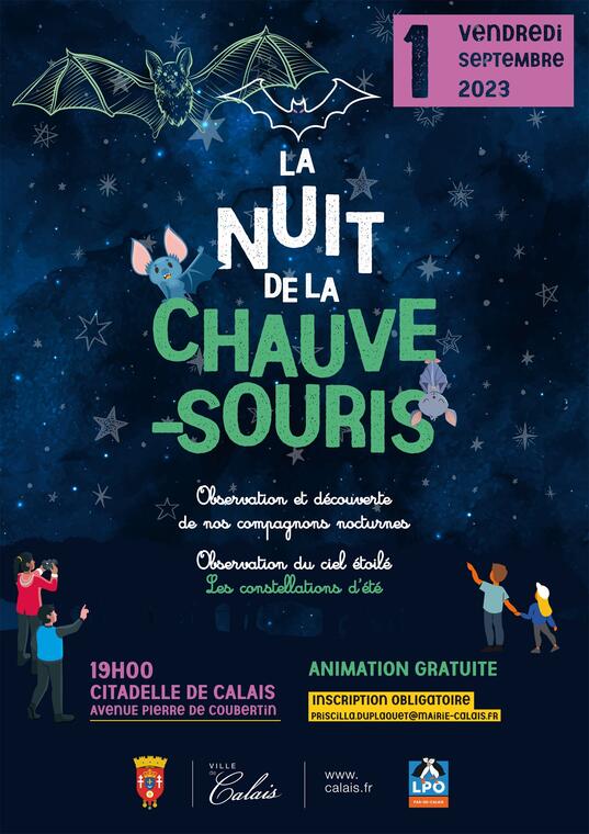 64d4f3e872e7e5af66837715NuitDeLaChauveSouris.jpg