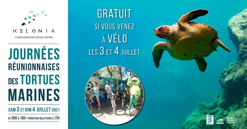 journées réunionnaises des tortues marines.jpg