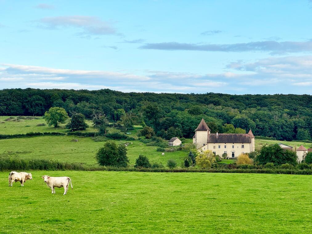 CLN - Château de Limand .jpg