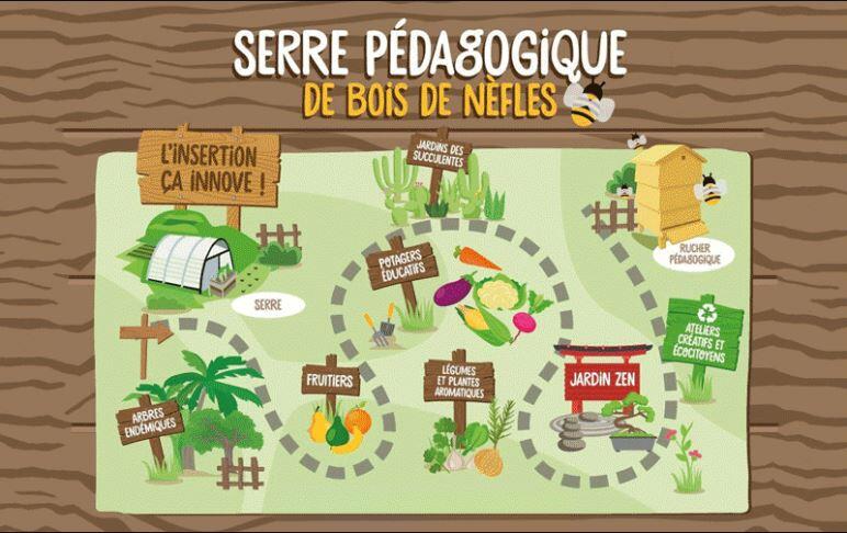 serre pédagogique de bois de nèfles.JPG