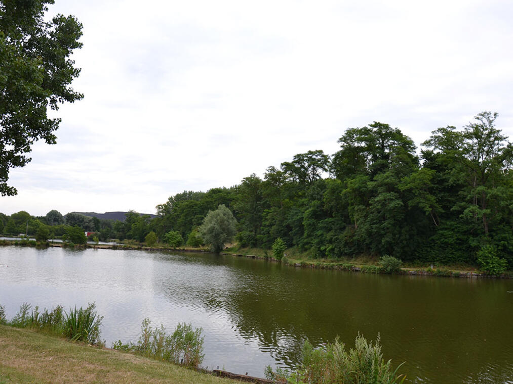 Etang de Quénehem - Calonne-Ricouart.jpg