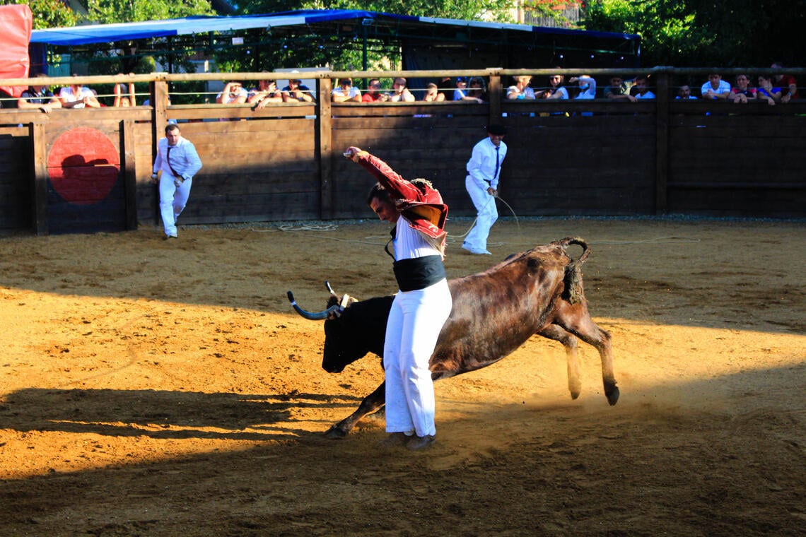 Plaisance Arene course Lartet © CSO.jpg