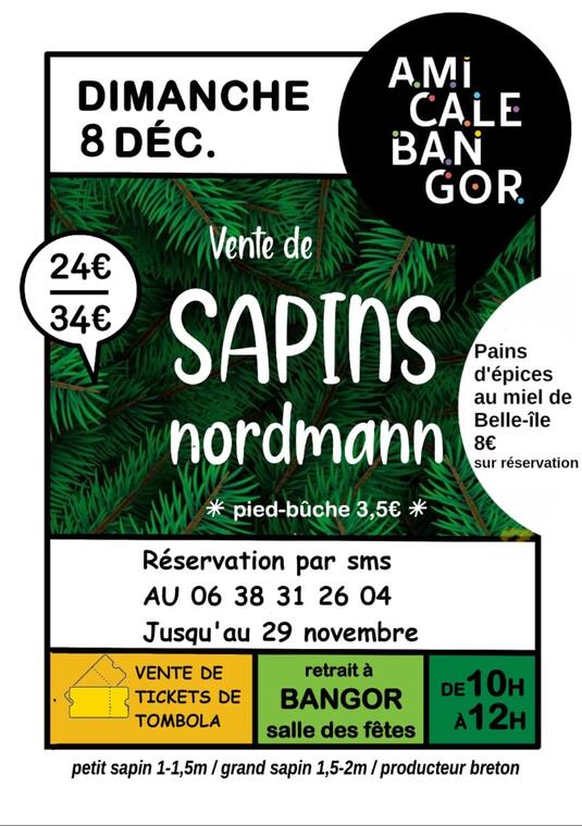 Vente de sapins.jpg