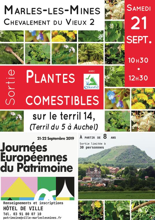 2019 - Sortie Plantes comestibles_Affiche A3.jpg