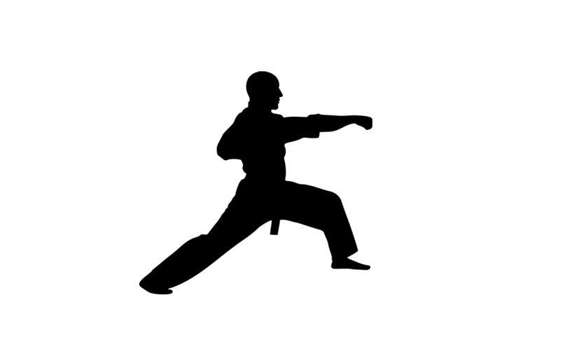 ARTS MARTIAUX - TLCT.JPG