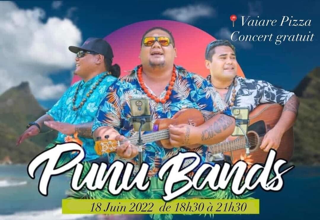 Visuel_Event_Concert Punu Bands.jpg