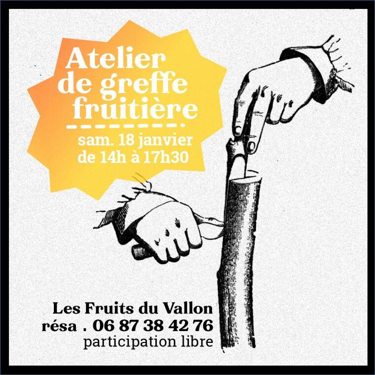 Initiation à la greffe fruitière.jpg