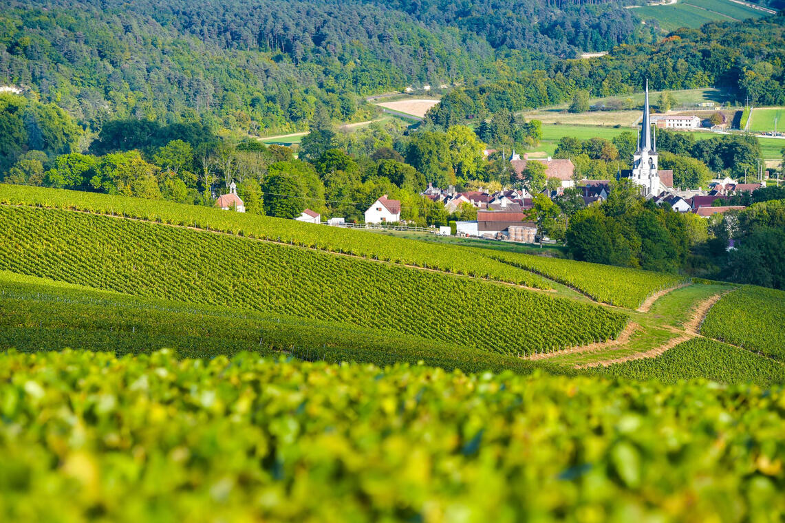 cote-des-bar-champagne.jpg