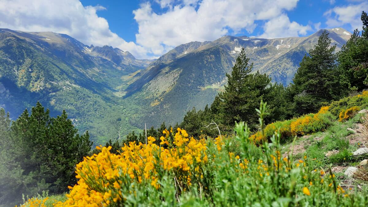 Nature - Vallée du Campcardos © Guillaume Andrieu.jpg